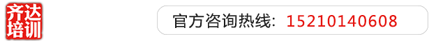 大奶日逼视频齐达艺考文化课-艺术生文化课,艺术类文化课,艺考生文化课logo